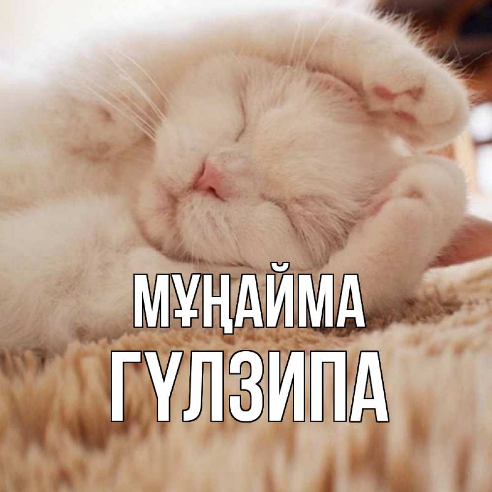 Күн сайын ашық хат с именем, ГҮЛЗИПА Мұңайма белый кот Онлайн тегін жүктеп алу тілектері бар керемет карта 