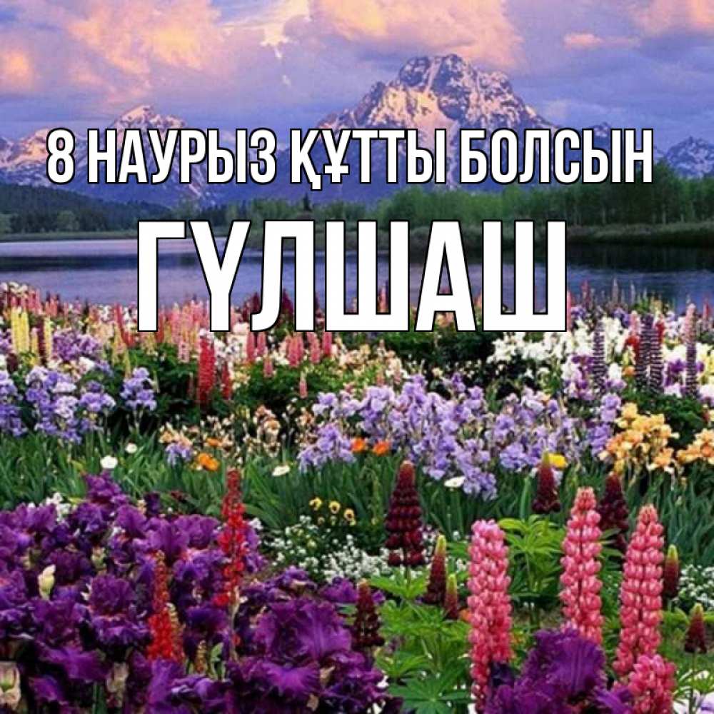 Күн сайын ашық хат с именем, ГҮЛШАШ 8 наурыз құтты болсын международный женский день Онлайн тегін жүктеп алу тілектері бар керемет карта 