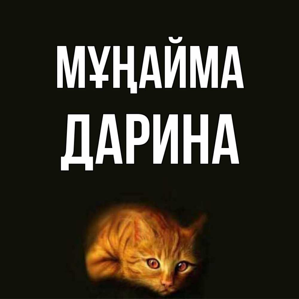 Күн сайын ашық хат с именем, Дарина Мұңайма лежащий кот в темноте Онлайн тегін жүктеп алу тілектері бар керемет карта 