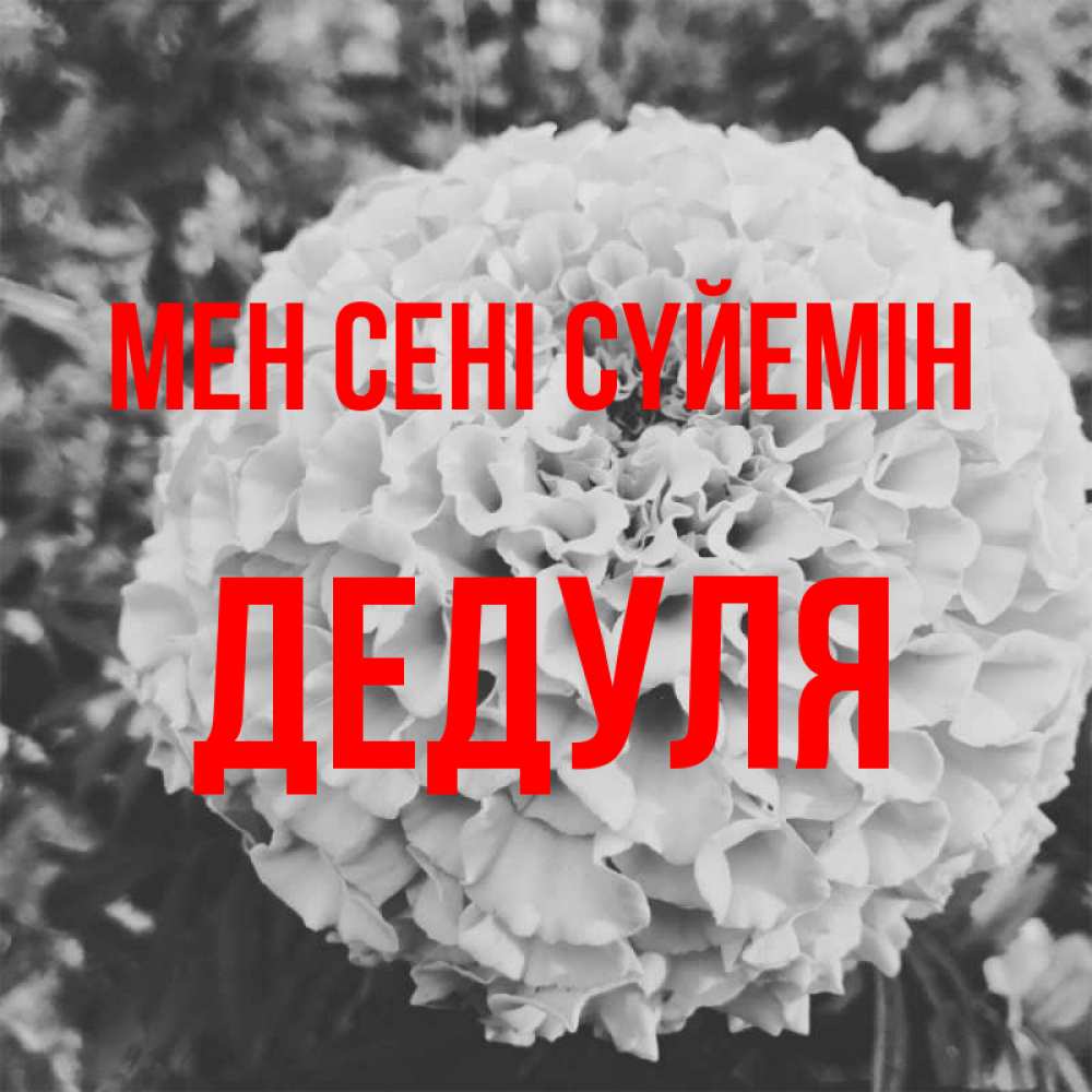 Күн сайын ашық хат с именем, Дедуля Мен сені сүйемін подпись Онлайн тегін жүктеп алу тілектері бар керемет карта 