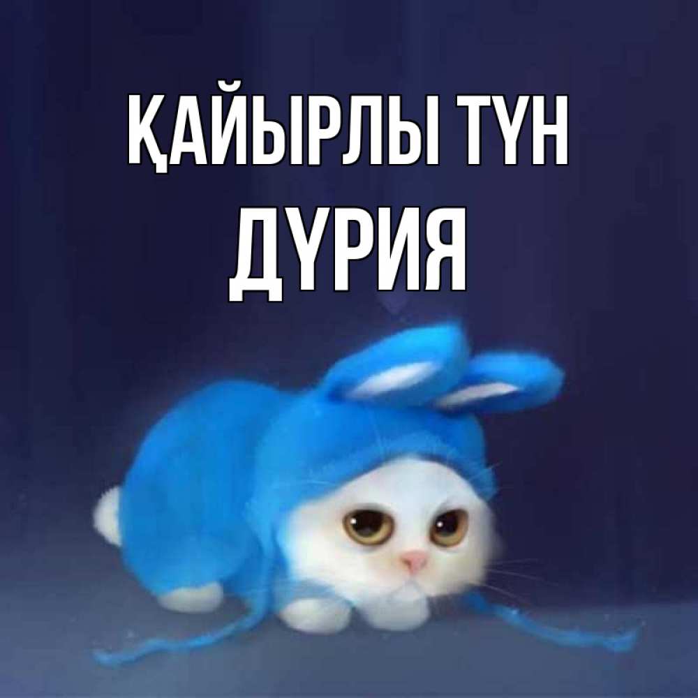 Күн сайын ашық хат с именем, ДҮРИЯ Қайырлы түн кот в голубом костюме кролика с ушками Онлайн тегін жүктеп алу тілектері бар керемет карта 