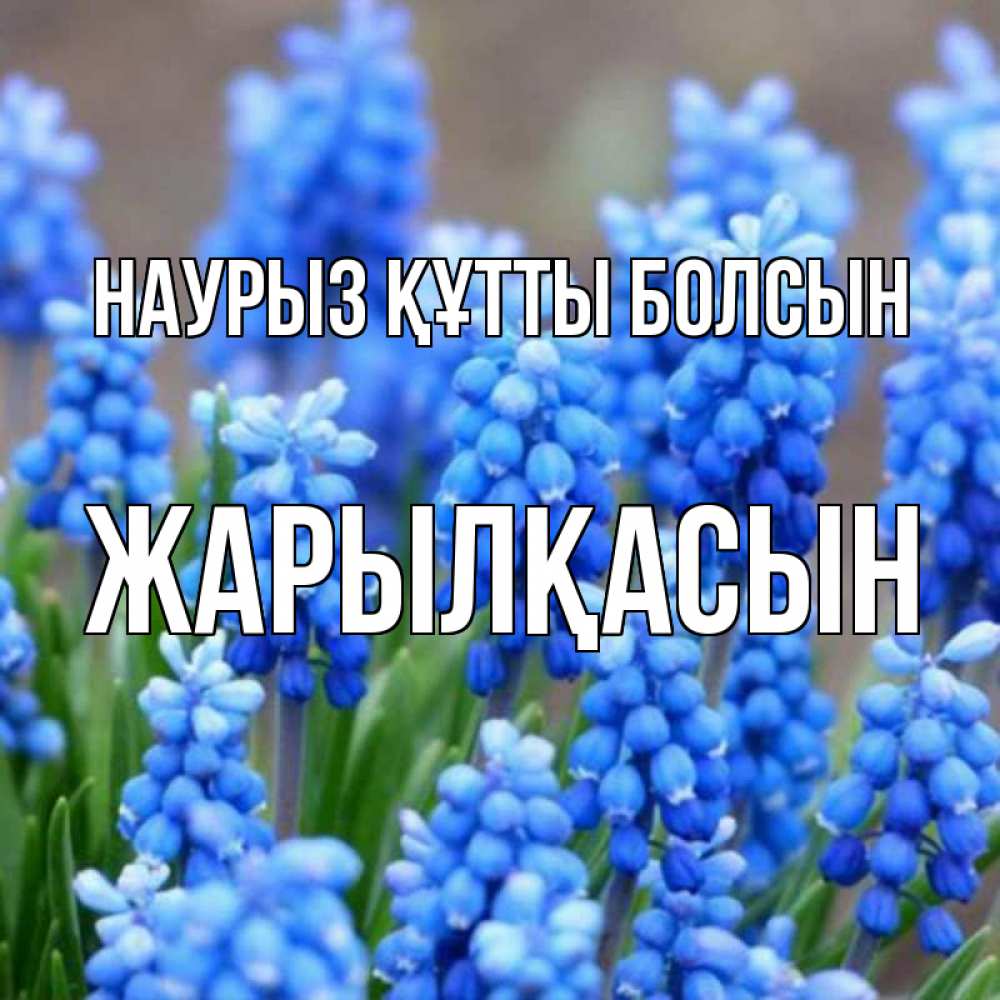 Күн сайын ашық хат с именем, Жарылқасын Наурыз құтты болсын Поздравительная открытка для женщин с цветами на праздничную дату Онлайн тегін жүктеп алу тілектері бар керемет карта 