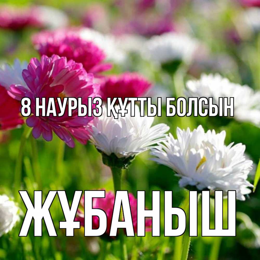 Күн сайын ашық хат с именем, Жұбаныш 8 наурыз құтты болсын международный женский день 1 Онлайн тегін жүктеп алу тілектері бар керемет карта 