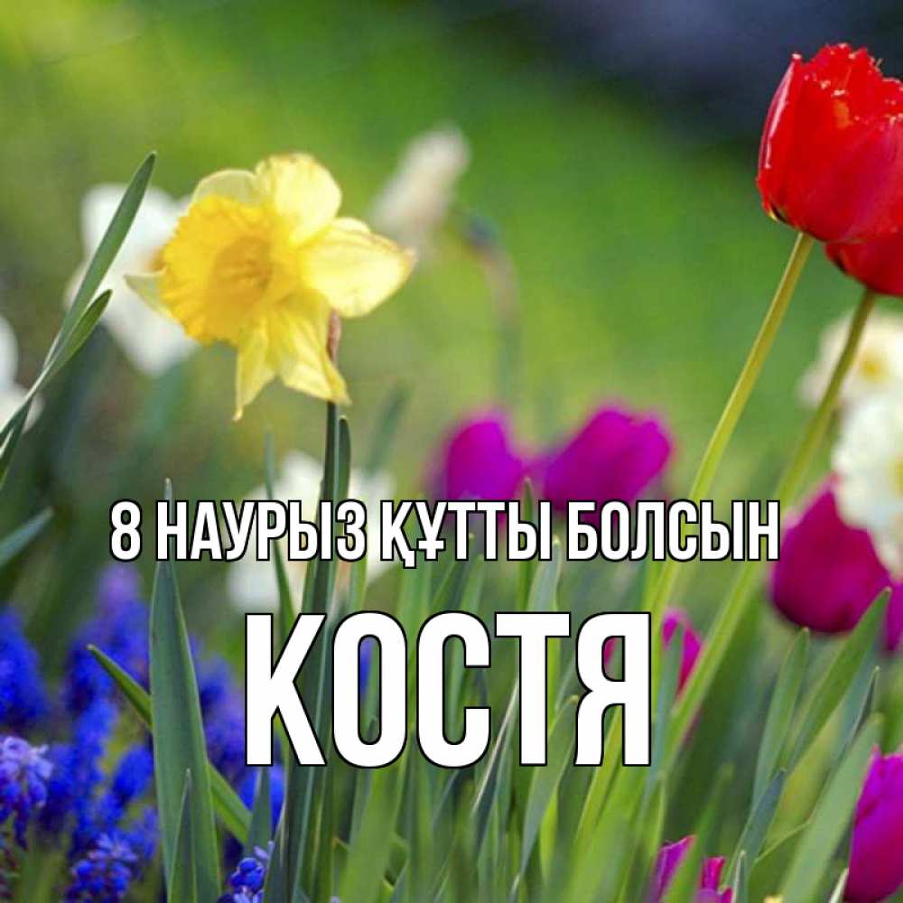 Күн сайын ашық хат с именем, Костя 8 наурыз құтты болсын международный женский день 3 Онлайн тегін жүктеп алу тілектері бар керемет карта 