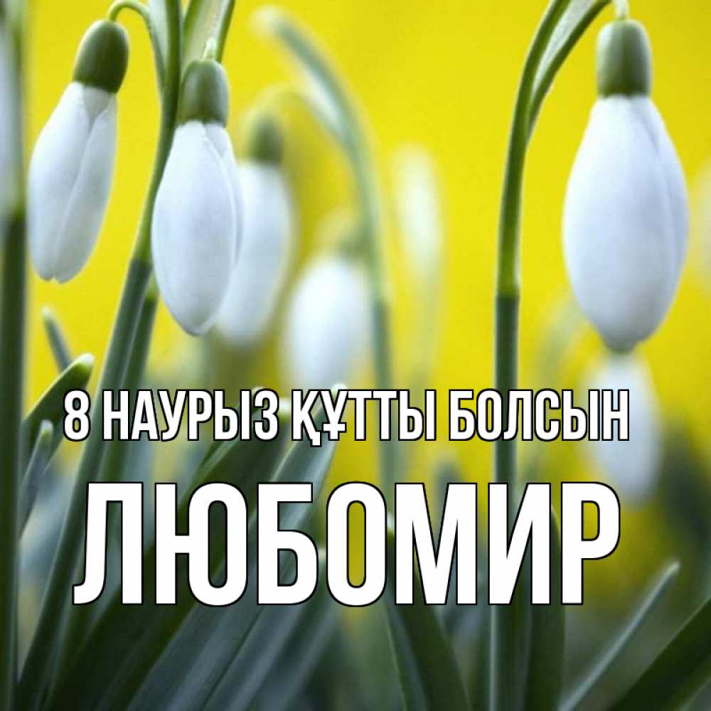 Күн сайын ашық хат с именем, Любомир 8 наурыз құтты болсын весенние цветы Онлайн тегін жүктеп алу тілектері бар керемет карта 