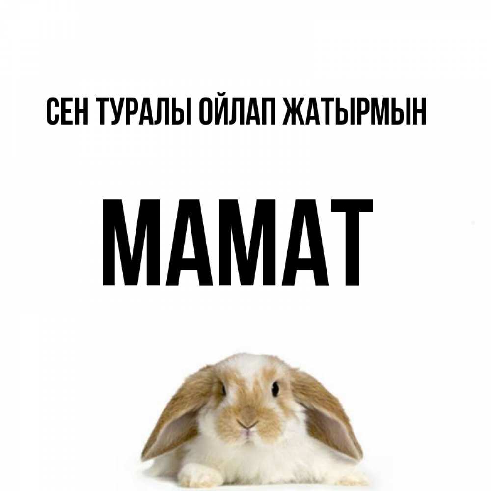 Күн сайын ашық хат с именем, МАМАТ Сен туралы ойлап жатырмын подписать своими руками онлайн Онлайн тегін жүктеп алу тілектері бар керемет карта 