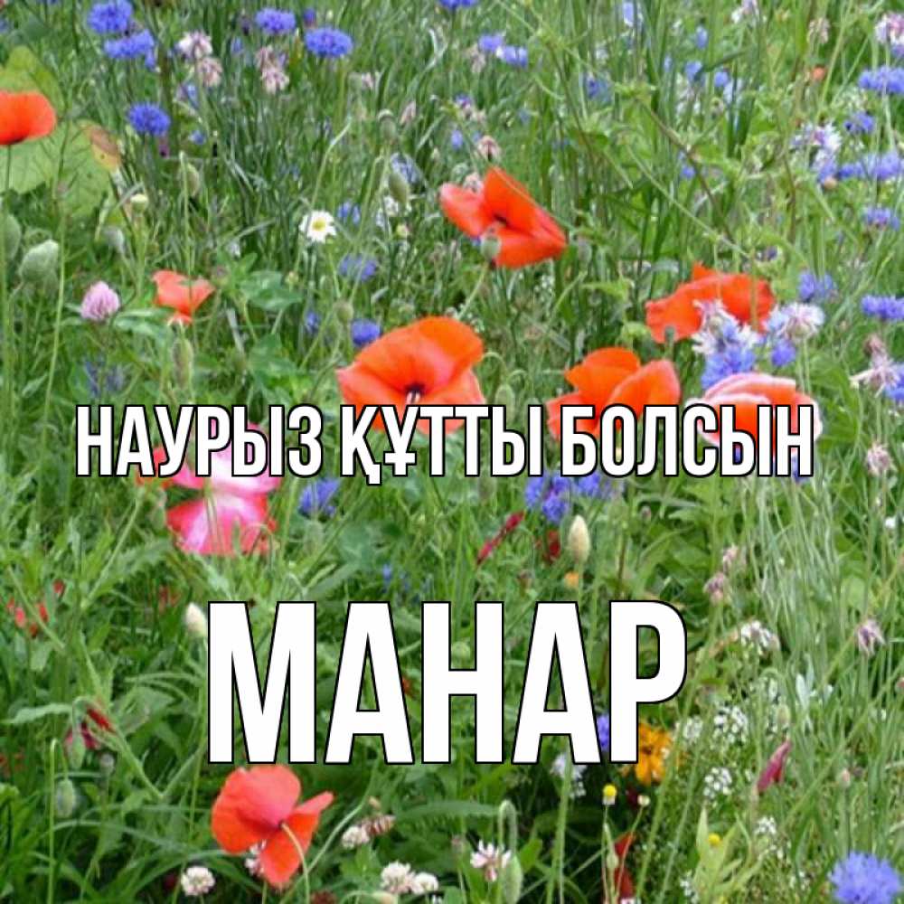 Күн сайын ашық хат с именем, МАНАР Наурыз құтты болсын наурыз  4 Онлайн тегін жүктеп алу тілектері бар керемет карта 