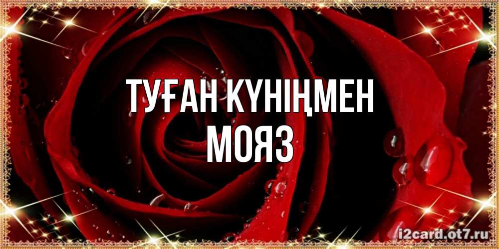 Күн сайын ашық хат с именем, МОЯЗ Туған күніңмен цветок в росе на день рождения Онлайн тегін жүктеп алу тілектері бар керемет карта 