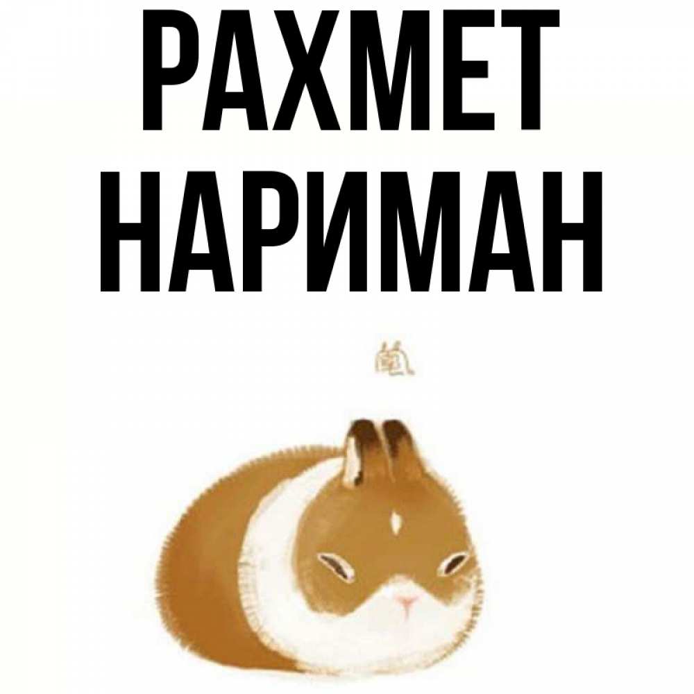 Күн сайын ашық хат с именем, НАРИМАН рахмет коричнево белый домашний питомец Онлайн тегін жүктеп алу тілектері бар керемет карта 