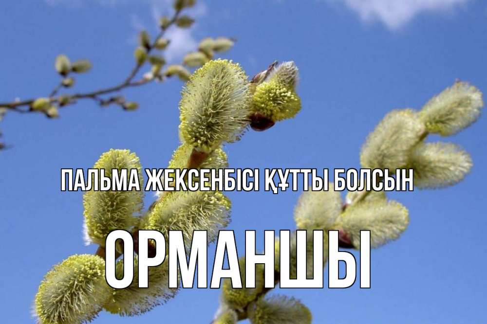 Күн сайын ашық хат с именем, ОРМАНШЫ Пальма жексенбісі құтты болсын верба Онлайн тегін жүктеп алу тілектері бар керемет карта 