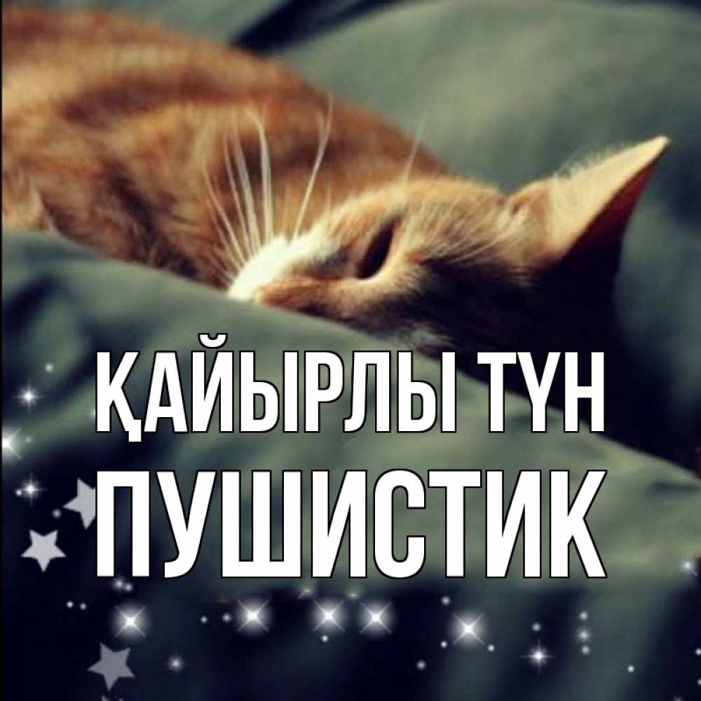 Күн сайын ашық хат с именем, Пушистик Қайырлы түн кроватка Онлайн тегін жүктеп алу тілектері бар керемет карта 