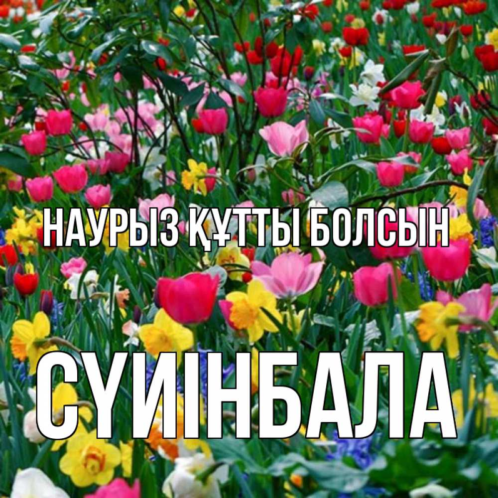 Күн сайын ашық хат с именем, СҮИІНБАЛА Наурыз құтты болсын с наурызом поздравления для женщины Онлайн тегін жүктеп алу тілектері бар керемет карта 