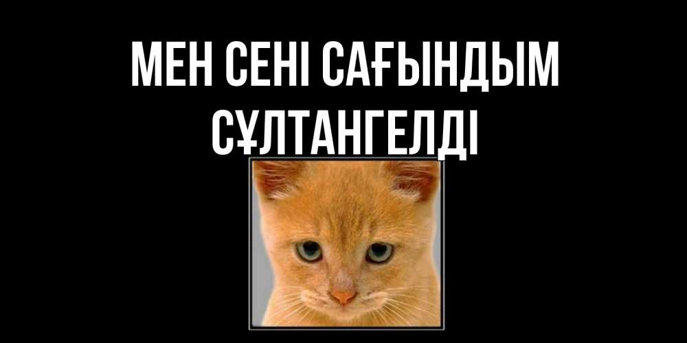 Күн сайын ашық хат с именем, СҰЛТАНГЕЛДІ Мен сені сағындым открытки рыжий котенок скучает по тебе Онлайн тегін жүктеп алу тілектері бар керемет карта 