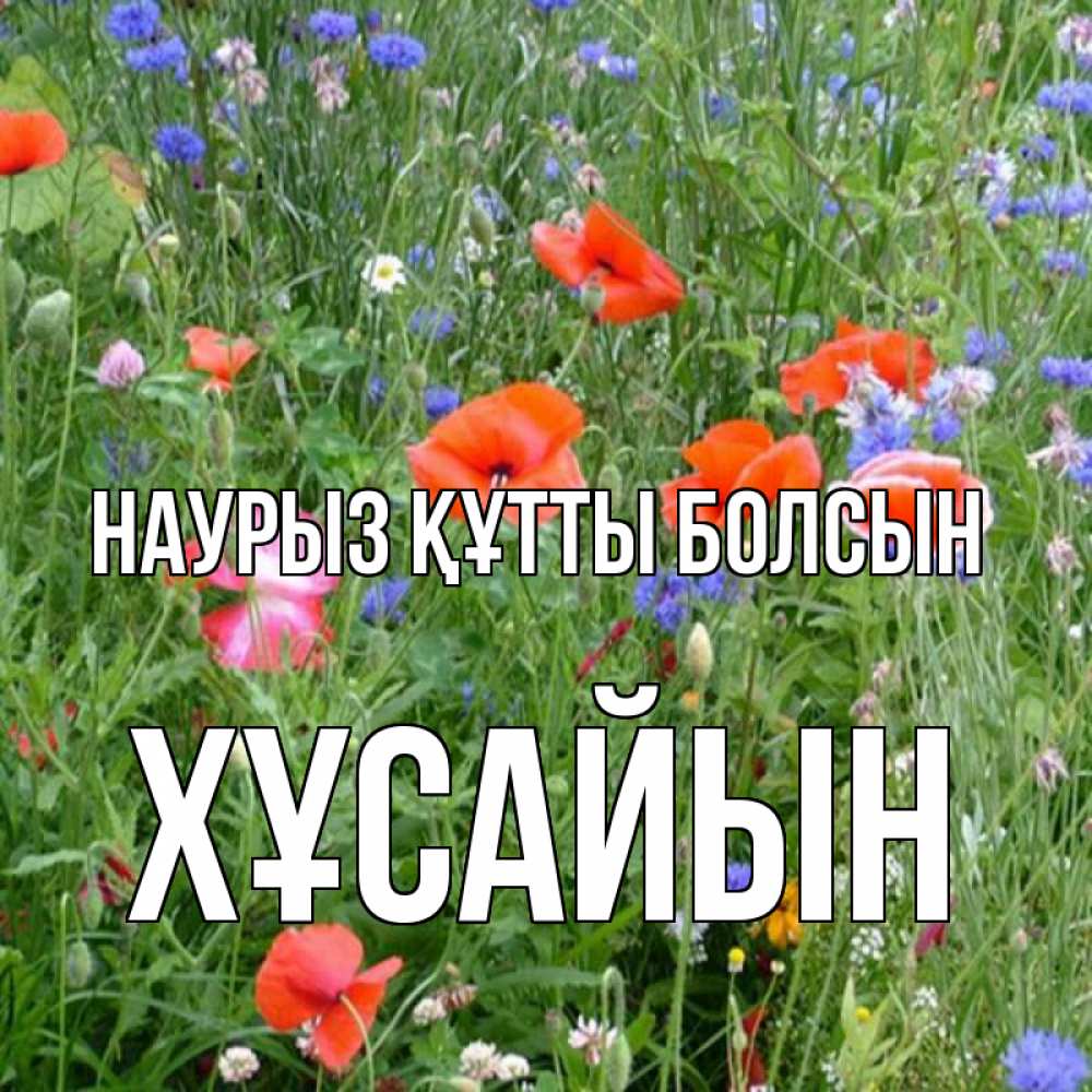 Күн сайын ашық хат с именем, ХҰСАЙЫН Наурыз құтты болсын наурыз  4 Онлайн тегін жүктеп алу тілектері бар керемет карта 