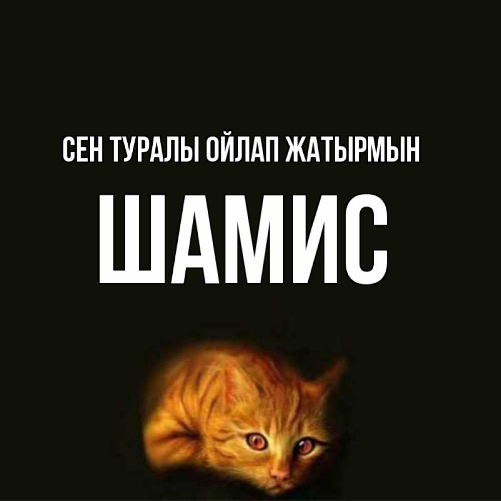Күн сайын ашық хат с именем, ШАМИС Сен туралы ойлап жатырмын рыжий Онлайн тегін жүктеп алу тілектері бар керемет карта 