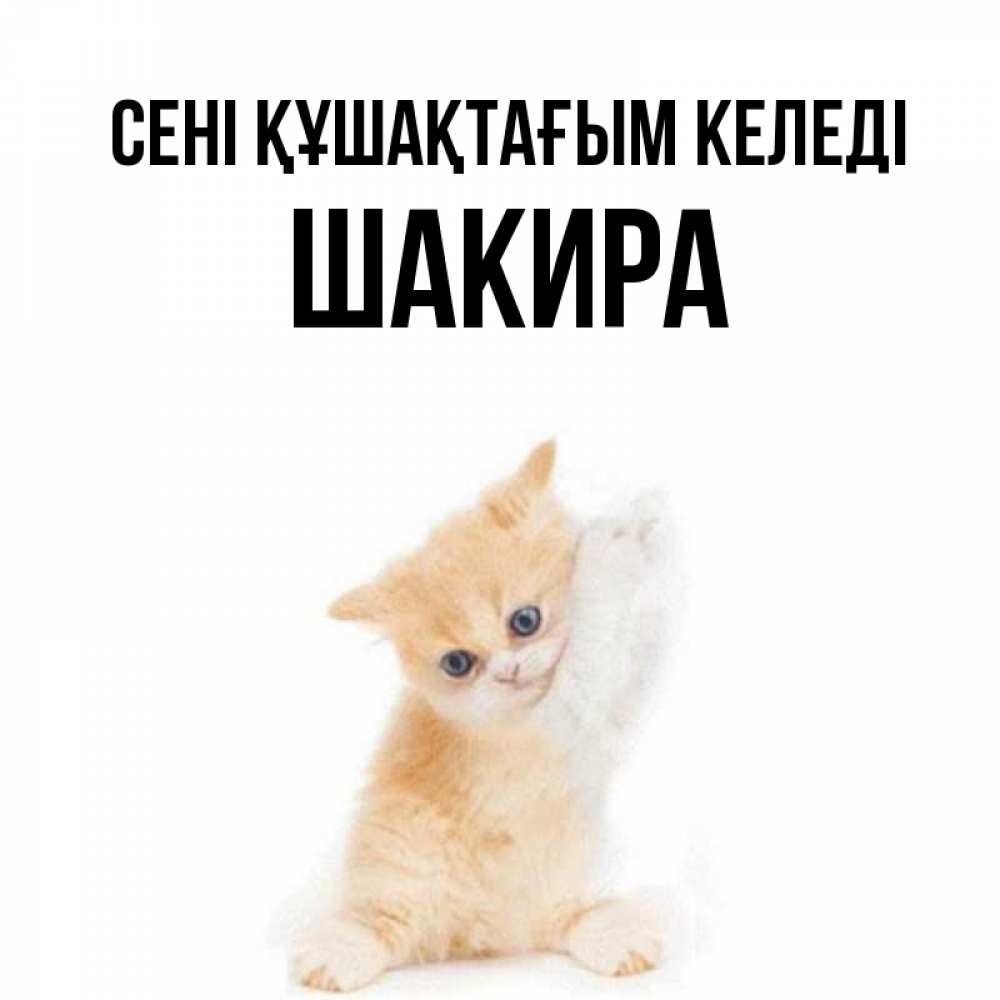 Күн сайын ашық хат с именем, Шакира сені құшақтағым келеді я хочу очень скорее обнимаешек Онлайн тегін жүктеп алу тілектері бар керемет карта 