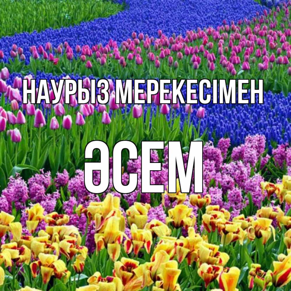 Күн сайын ашық хат с именем, ӘСЕМ Наурыз мерекесімен цветы Онлайн тегін жүктеп алу тілектері бар керемет карта 
