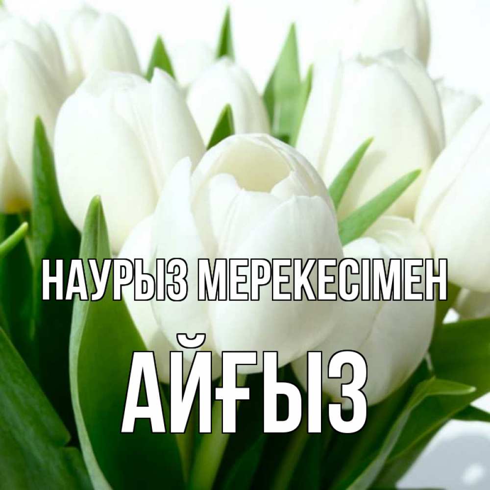 Күн сайын ашық хат с именем, АЙҒЫЗ Наурыз мерекесімен цветы Онлайн тегін жүктеп алу тілектері бар керемет карта 