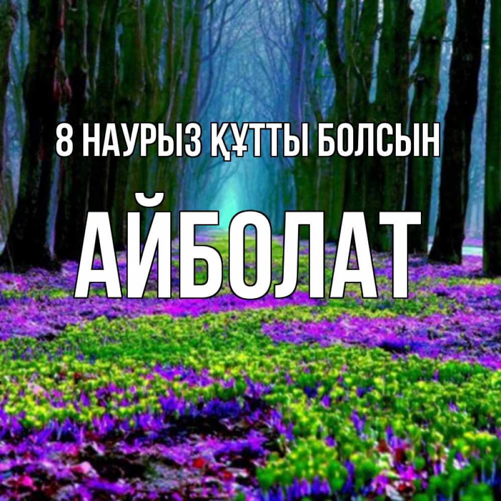 Күн сайын ашық хат с именем, Айболат 8 наурыз құтты болсын фиолетовые цветы в лесу 1 Онлайн тегін жүктеп алу тілектері бар керемет карта 