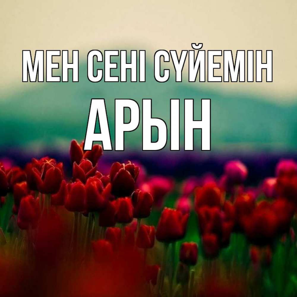 Күн сайын ашық хат с именем, Арын Мен сені сүйемін тюльпаны 4 Онлайн тегін жүктеп алу тілектері бар керемет карта 
