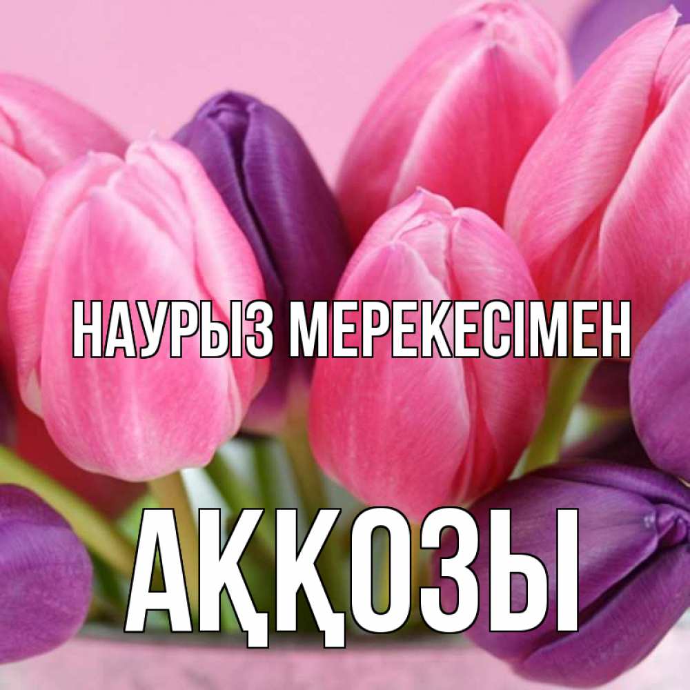 Күн сайын ашық хат с именем, Аққозы Наурыз мерекесімен маме 1 Онлайн тегін жүктеп алу тілектері бар керемет карта 