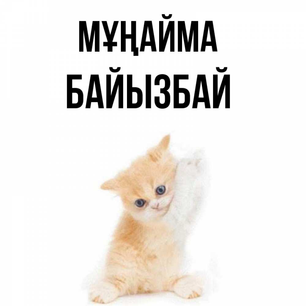 Күн сайын ашық хат с именем, Байызбай Мұңайма просящий кот Онлайн тегін жүктеп алу тілектері бар керемет карта 