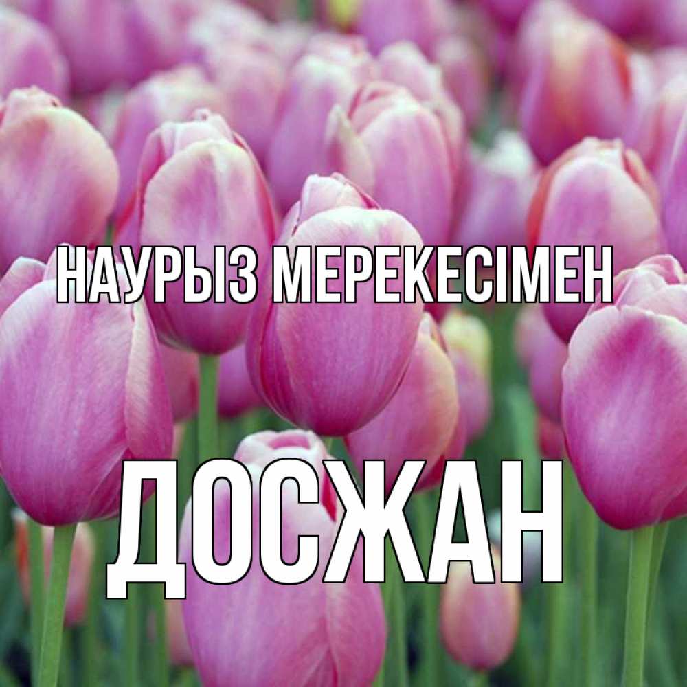 Күн сайын ашық хат с именем, Досжан Наурыз мерекесімен праздник весны наурыз 69 Онлайн тегін жүктеп алу тілектері бар керемет карта 