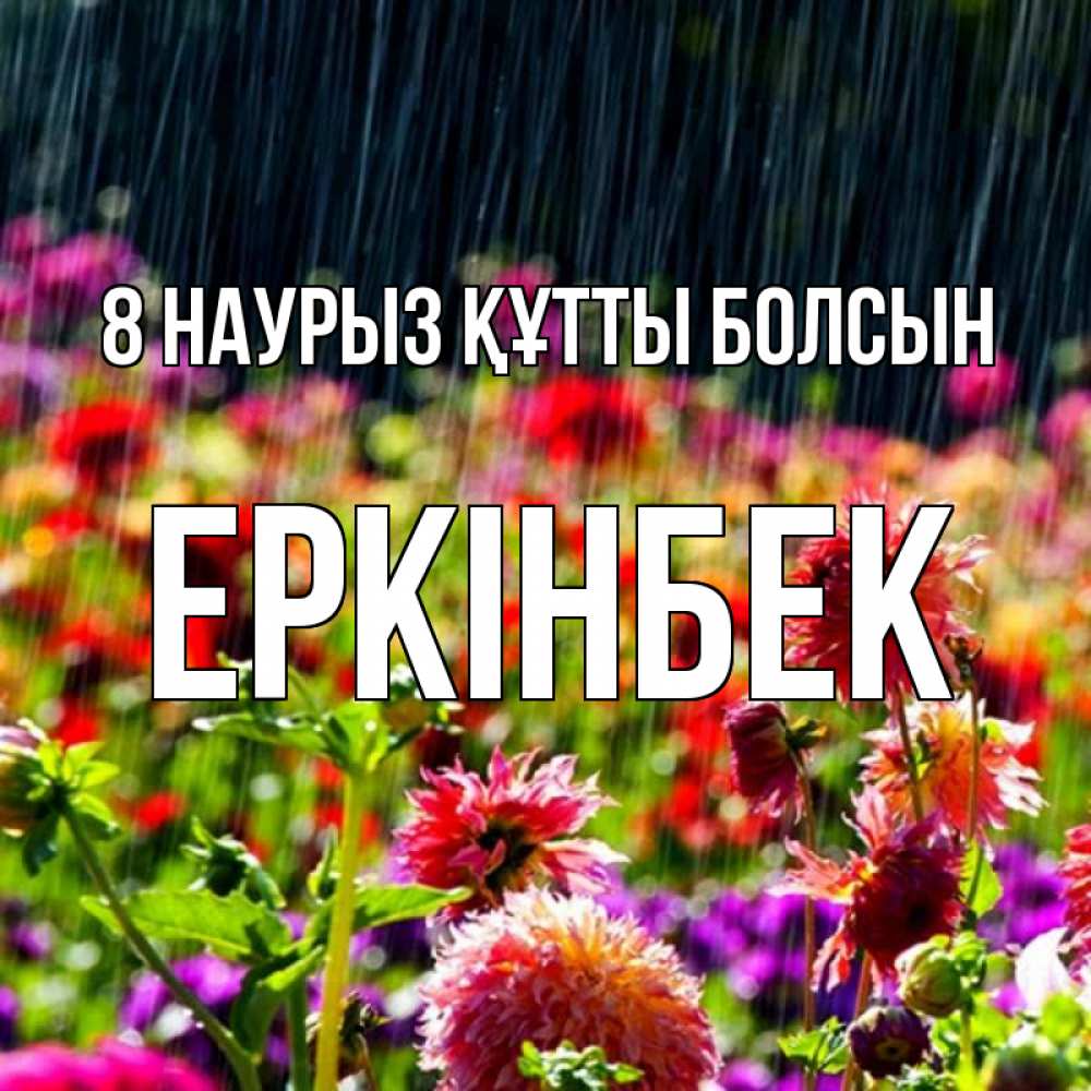Күн сайын ашық хат с именем, Еркінбек 8 наурыз құтты болсын цветы под дождиком к международному женскому дню Онлайн тегін жүктеп алу тілектері бар керемет карта 