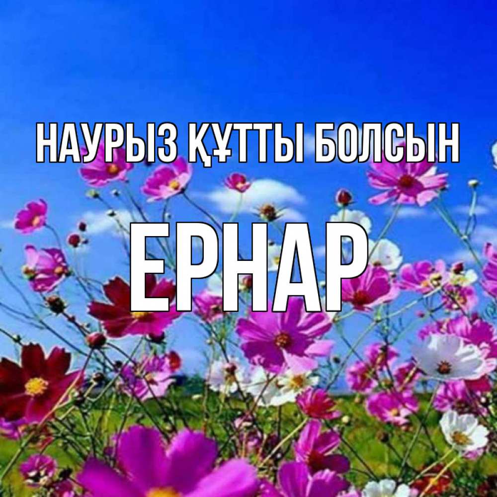 Күн сайын ашық хат с именем, Ернар Наурыз құтты болсын цветы Онлайн тегін жүктеп алу тілектері бар керемет карта 