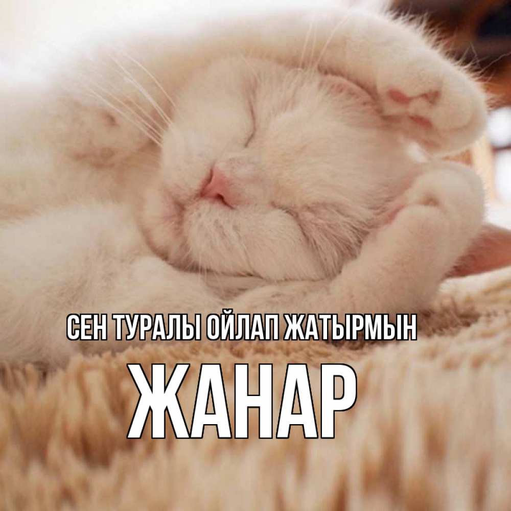 Күн сайын ашық хат с именем, ЖАНАР Сен туралы ойлап жатырмын для любимой девушки милота Онлайн тегін жүктеп алу тілектері бар керемет карта 