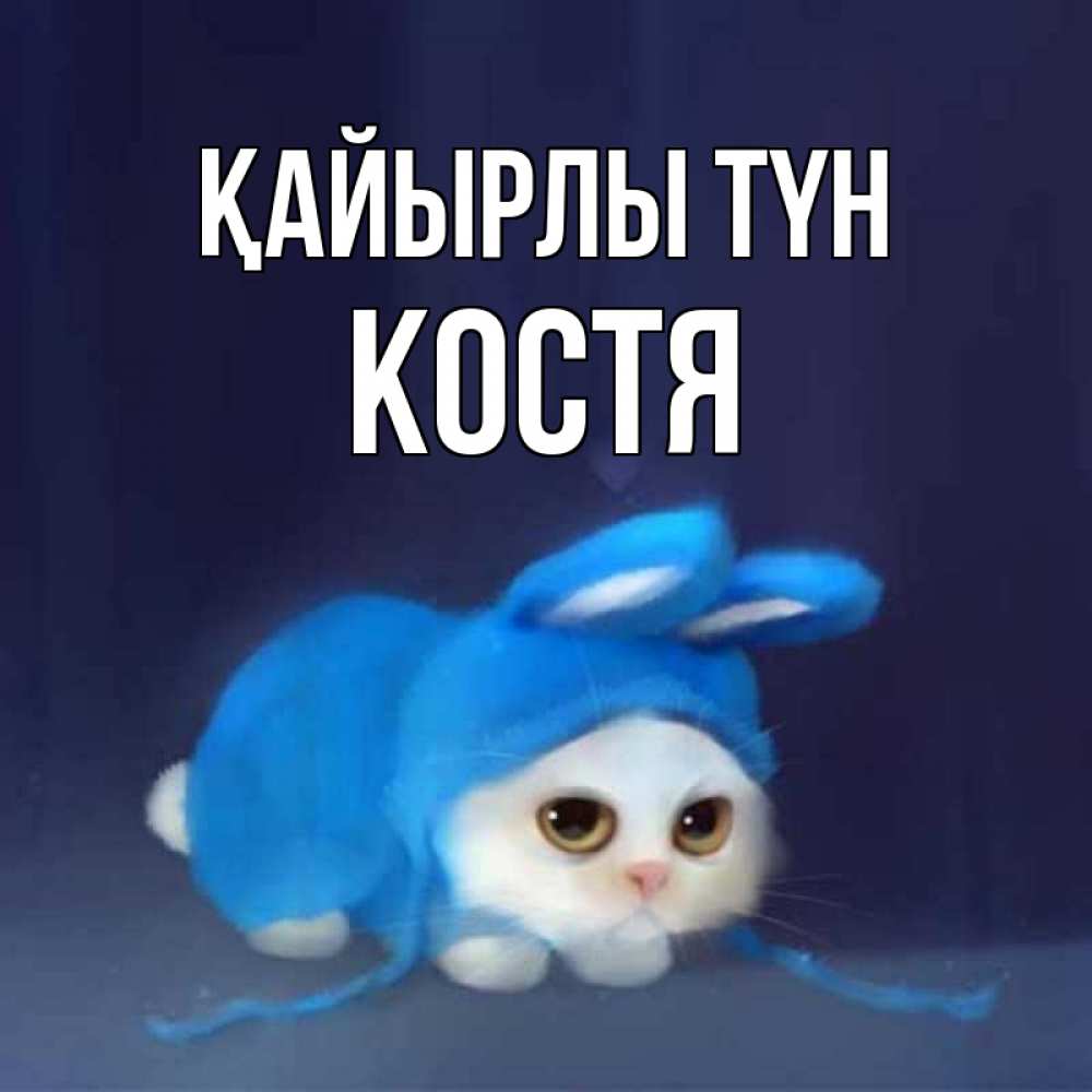 Күн сайын ашық хат с именем, Костя Қайырлы түн кот в голубом костюме кролика с ушками Онлайн тегін жүктеп алу тілектері бар керемет карта 