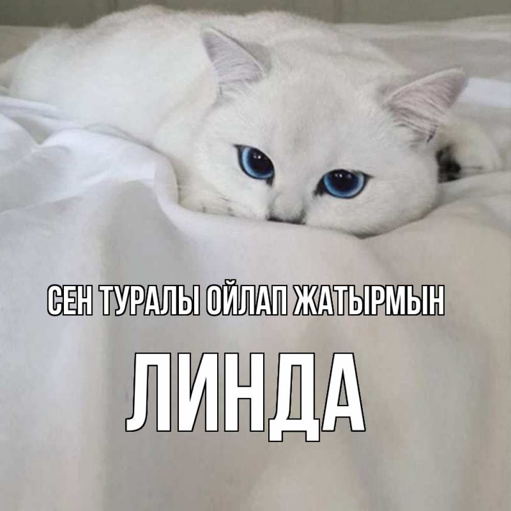 Күн сайын ашық хат с именем, Линда Сен туралы ойлап жатырмын я очень по тебе скучаю и тоскую Онлайн тегін жүктеп алу тілектері бар керемет карта 