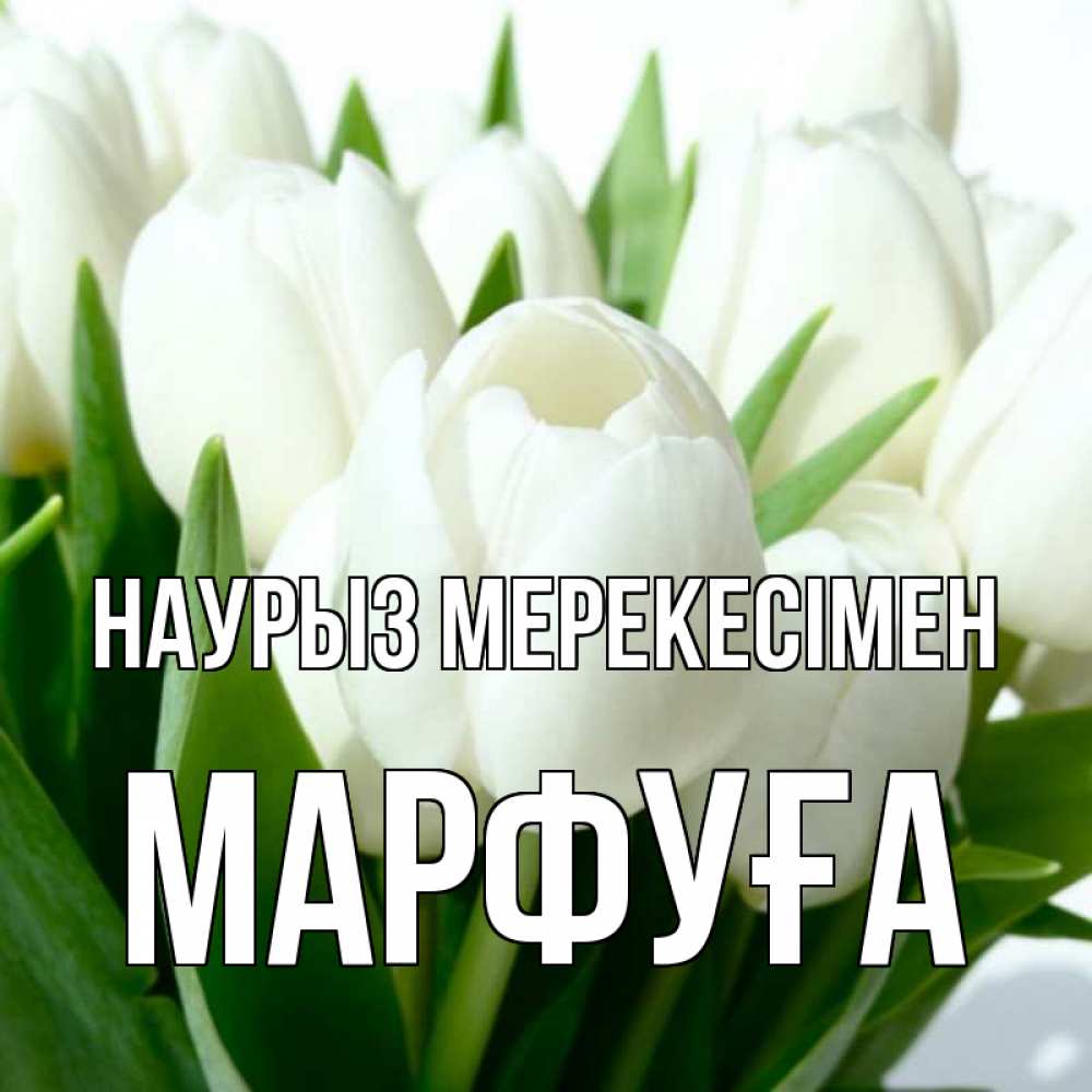 Күн сайын ашық хат с именем, МАРФУҒА Наурыз мерекесімен цветы Онлайн тегін жүктеп алу тілектері бар керемет карта 