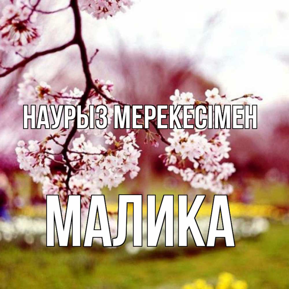 Күн сайын ашық хат с именем, Малика Наурыз мерекесімен яблоня Онлайн тегін жүктеп алу тілектері бар керемет карта 