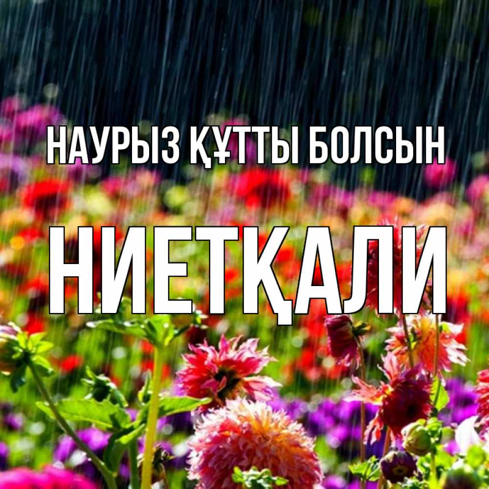 Күн сайын ашық хат с именем, НИЕТҚАЛИ Наурыз құтты болсын цветы под дождиком к наурызу Онлайн тегін жүктеп алу тілектері бар керемет карта 