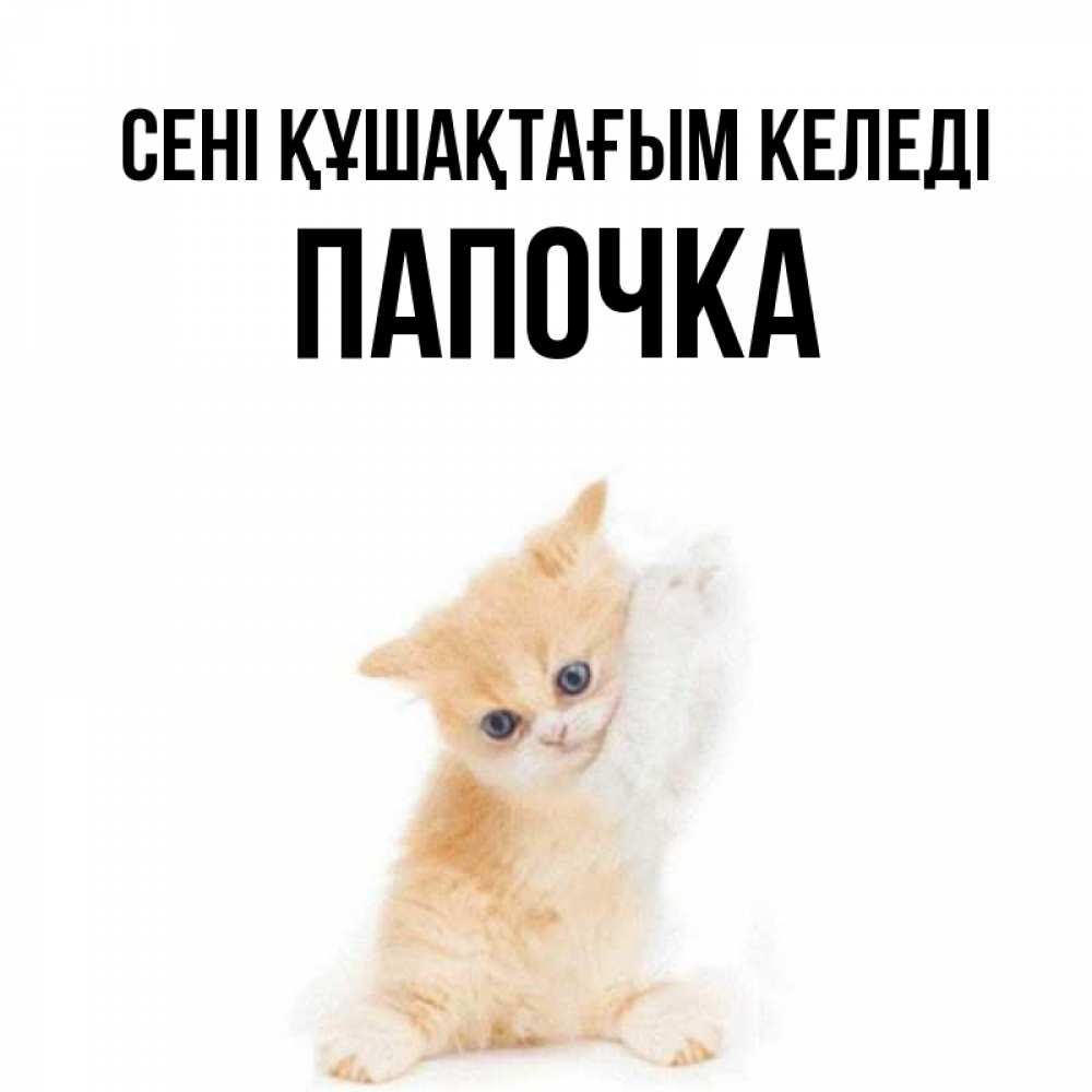Күн сайын ашық хат с именем, Папочка сені құшақтағым келеді я хочу очень скорее обнимаешек Онлайн тегін жүктеп алу тілектері бар керемет карта 