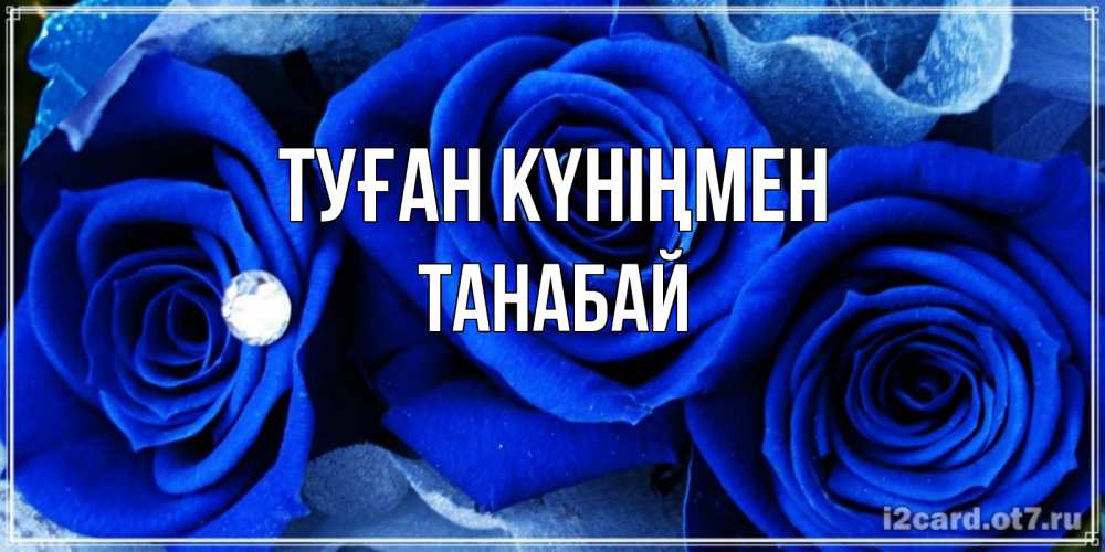 Күн сайын ашық хат с именем, ТАНАБАЙ Туған күніңмен синие розы в росе Онлайн тегін жүктеп алу тілектері бар керемет карта 