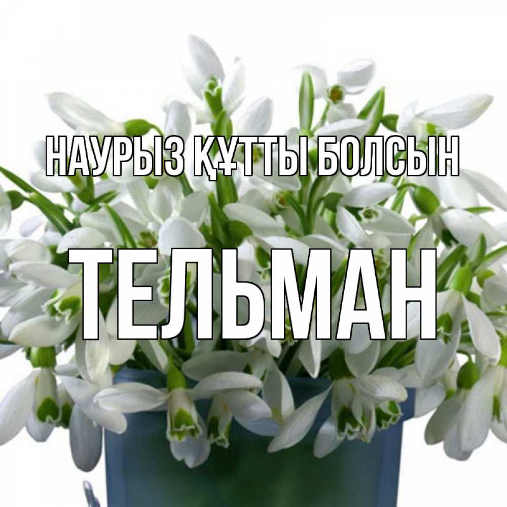 Күн сайын ашық хат с именем, Тельман Наурыз құтты болсын цветы к наурызу Онлайн тегін жүктеп алу тілектері бар керемет карта 