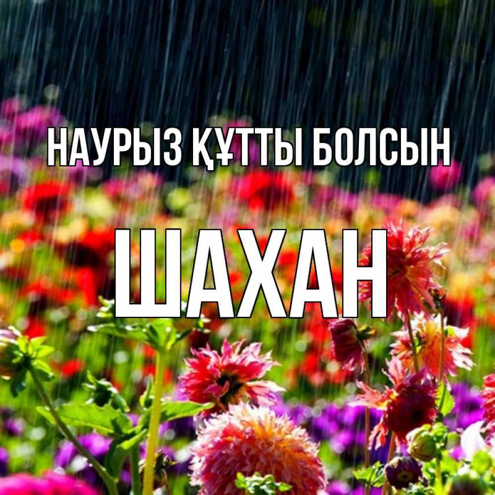 Күн сайын ашық хат с именем, ШАХАН Наурыз құтты болсын цветы под дождиком к наурызу Онлайн тегін жүктеп алу тілектері бар керемет карта 