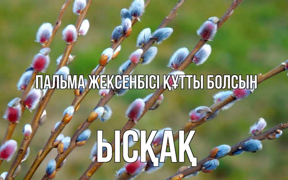 Күн сайын ашық хат с именем, ЫСҚАҚ Пальма жексенбісі құтты болсын верба Онлайн тегін жүктеп алу тілектері бар керемет карта 