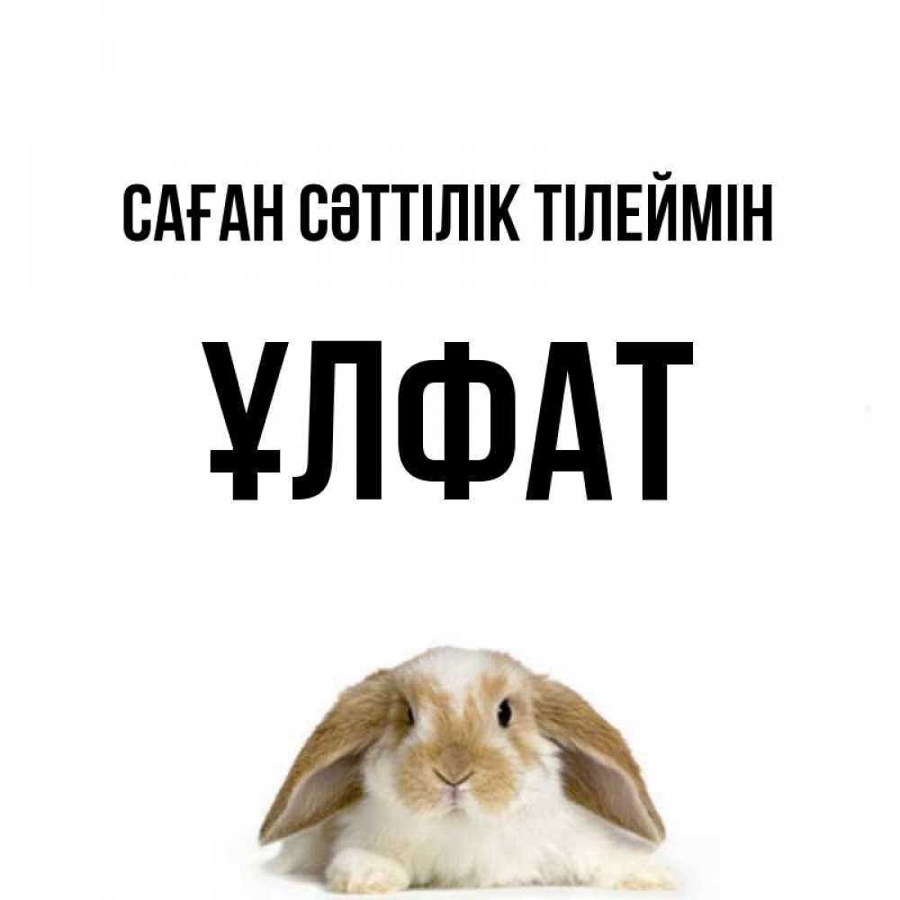 Күн сайын ашық хат с именем, ҰЛФАТ Саған сәттілік тілеймін открытки с произвольным текстом который можно вставить в открытку и создать ее самостоятельно бесплатно онлайн Онлайн тегін жүктеп алу тілектері бар керемет карта 