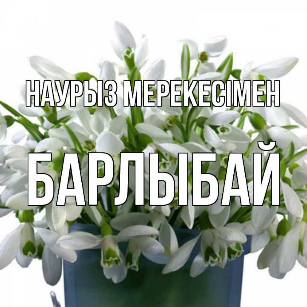 Күн сайын ашық хат с именем, Барлыбай Наурыз мерекесімен цветы к наурызу новый год в Казахстане Онлайн тегін жүктеп алу тілектері бар керемет карта 