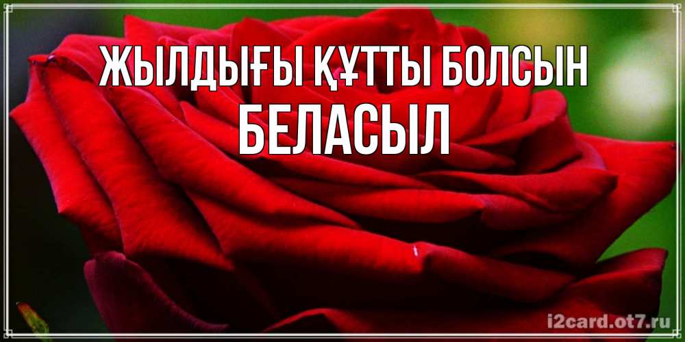 Күн сайын ашық хат с именем, Беласыл Жылдығы құтты болсын розочка очень красивая Онлайн тегін жүктеп алу тілектері бар керемет карта 