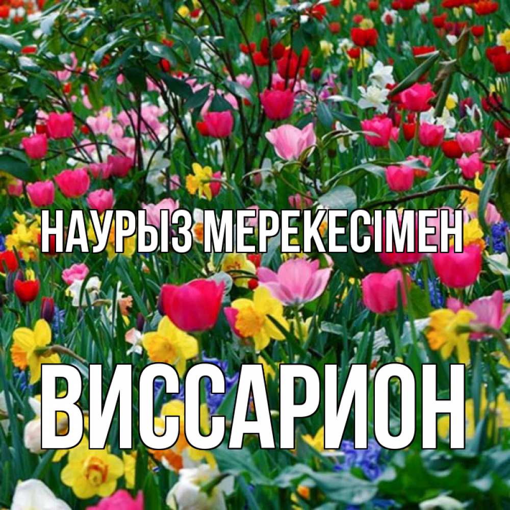 Күн сайын ашық хат с именем, Виссарион Наурыз мерекесімен с наурызом праздником весны поздравления для женщины Онлайн тегін жүктеп алу тілектері бар керемет карта 