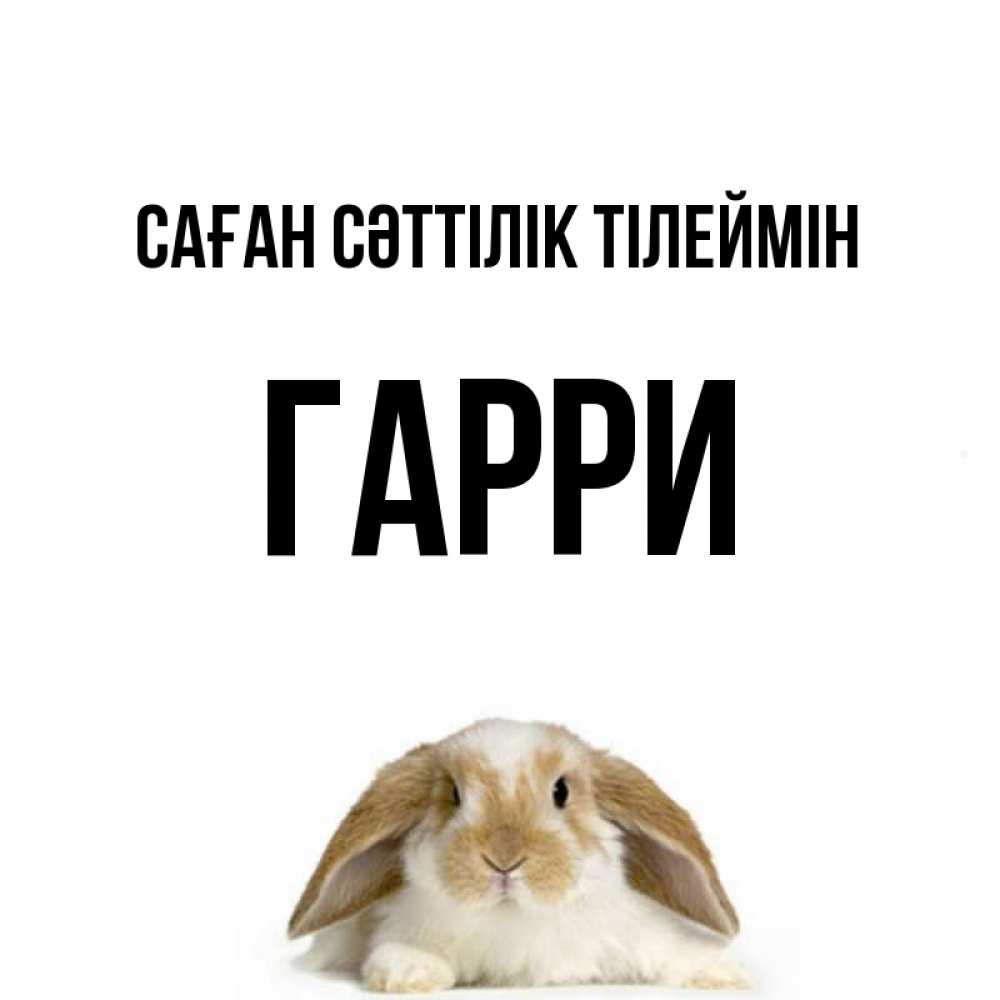 Күн сайын ашық хат с именем, Гарри Саған сәттілік тілеймін открытки с произвольным текстом который можно вставить в открытку и создать ее самостоятельно бесплатно онлайн Онлайн тегін жүктеп алу тілектері бар керемет карта 
