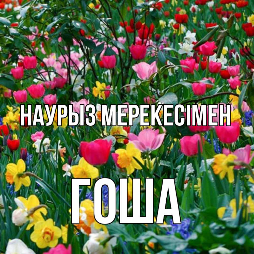 Күн сайын ашық хат с именем, Гоша Наурыз мерекесімен с наурызом праздником весны поздравления для женщины Онлайн тегін жүктеп алу тілектері бар керемет карта 