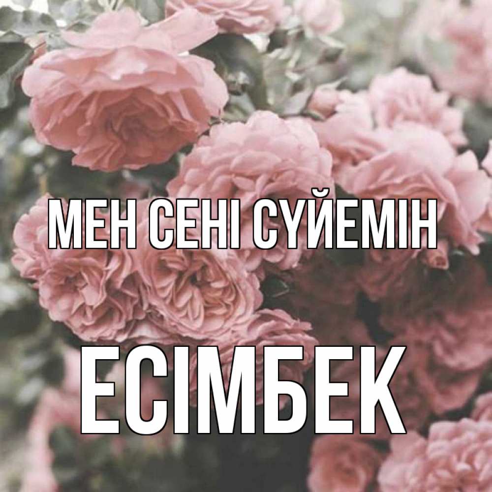 Күн сайын ашық хат с именем, Есімбек Мен сені сүйемін розы 3 Онлайн тегін жүктеп алу тілектері бар керемет карта 