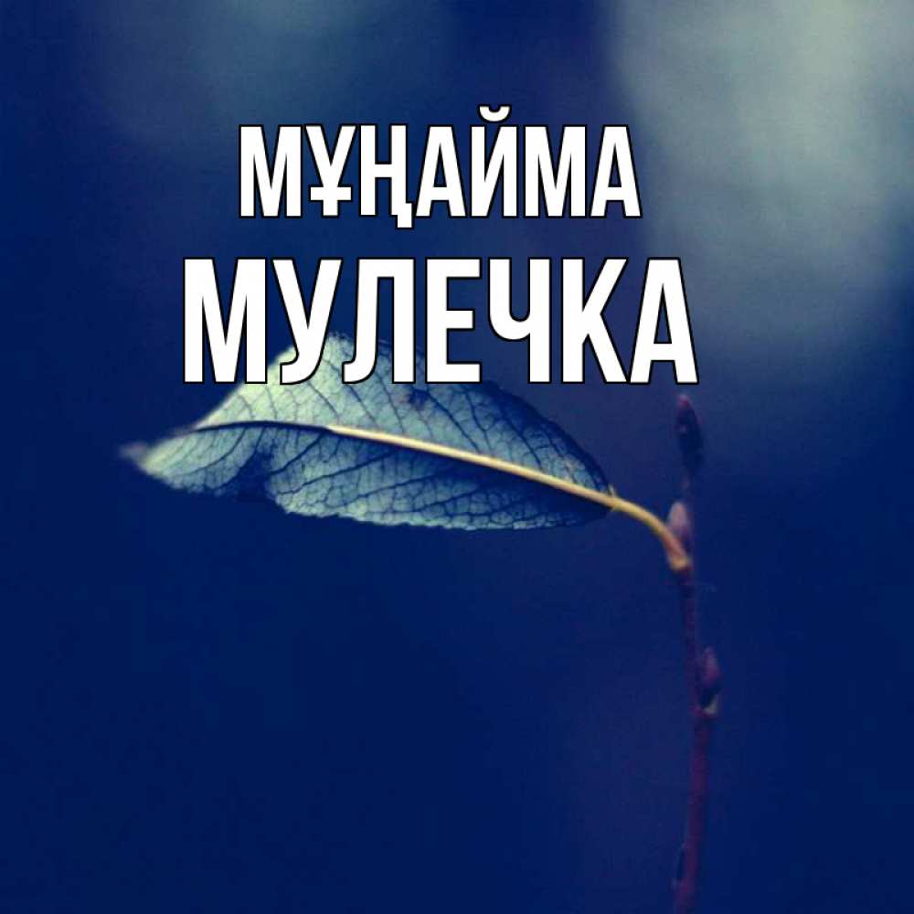Күн сайын ашық хат с именем, Мулечка Мұңайма растение Онлайн тегін жүктеп алу тілектері бар керемет карта 