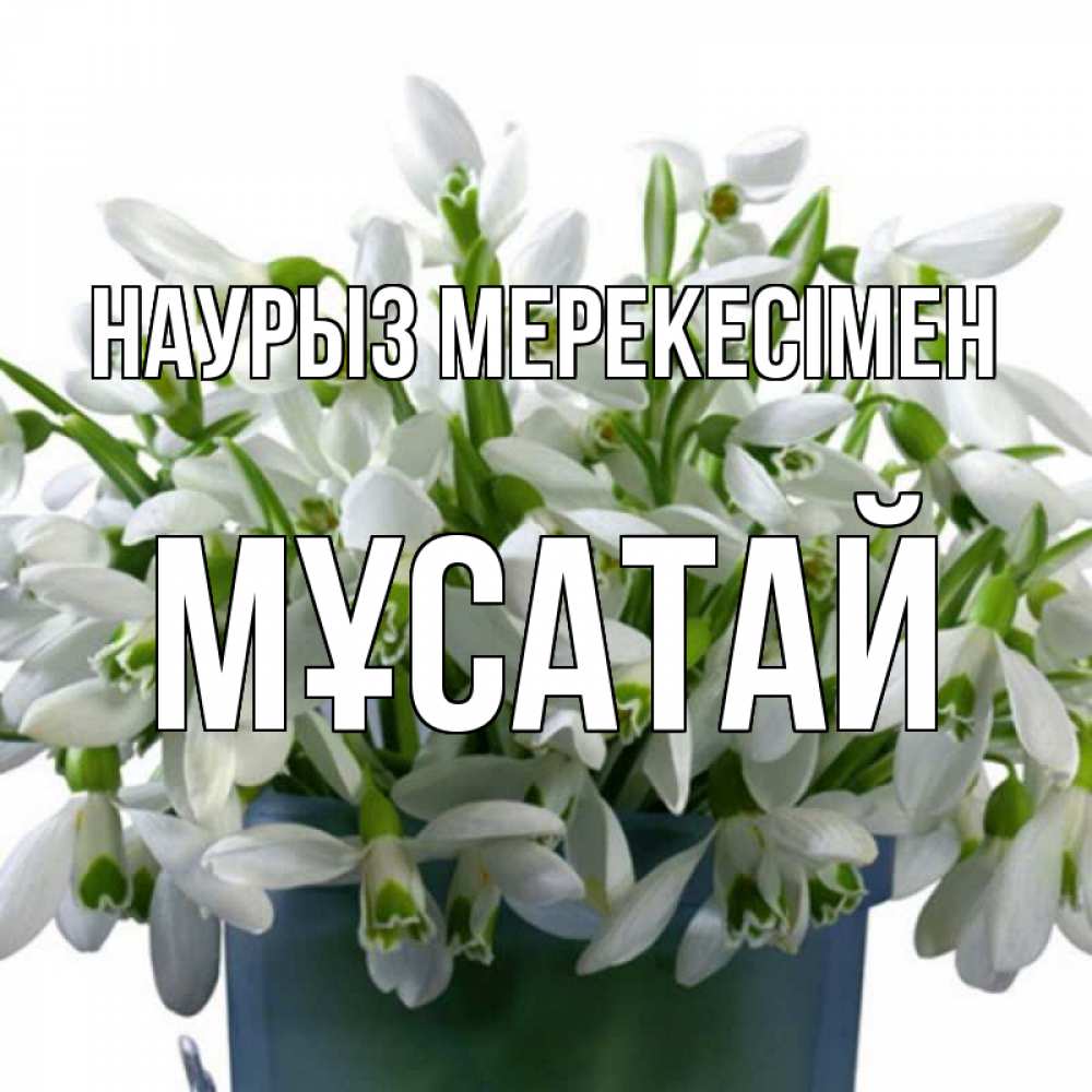 Күн сайын ашық хат с именем, Мұсатай Наурыз мерекесімен цветы к наурызу новый год в Казахстане Онлайн тегін жүктеп алу тілектері бар керемет карта 