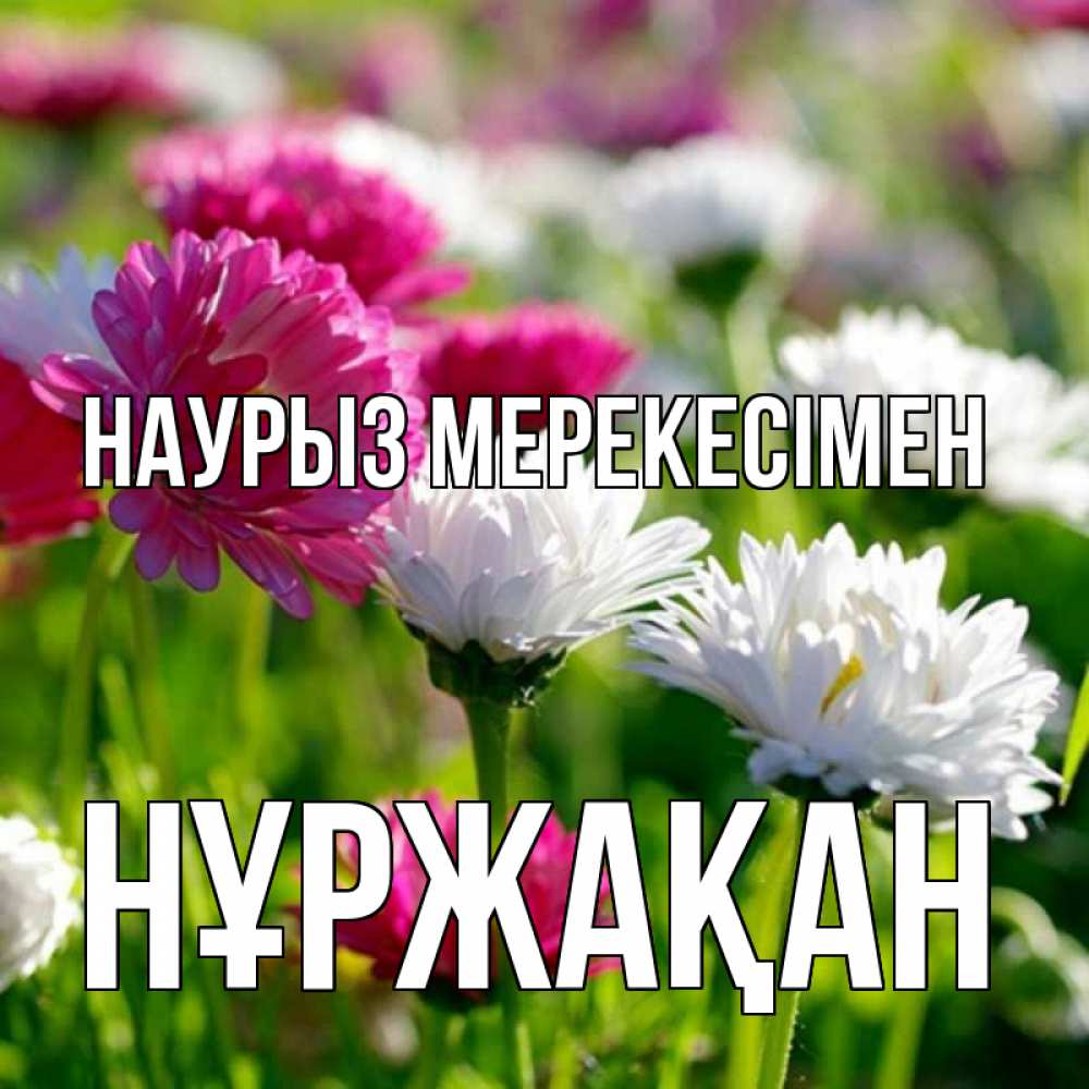 Күн сайын ашық хат с именем, НҰРЖАҚАН Наурыз мерекесімен праздник весны наурыз красота Онлайн тегін жүктеп алу тілектері бар керемет карта 